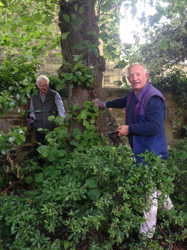 The Shrubbery Working Party